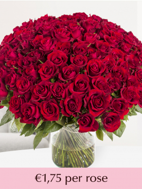 500 till 1001 red roses - EverRed
