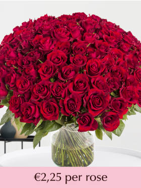 500 till 1001 red roses - EverRed