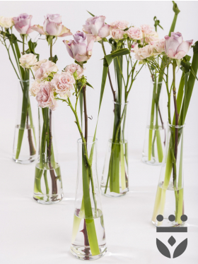 6 pastel centerpieces, including vases - Gold | High