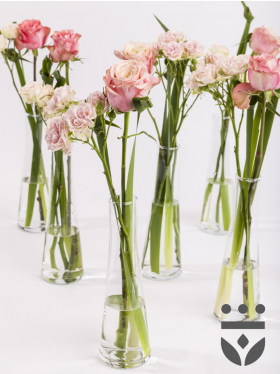 6 pastel plus centerpieces, including vases - Gold | High