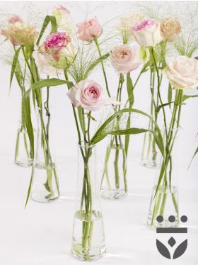6 pastel plus centerpieces, including vases - Platinum | High