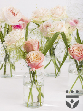 6 pastel plus centerpieces, including vases - Platinum | Low