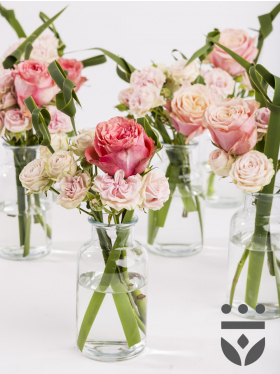 6 pastel plus centerpieces, including vases - Gold | Low