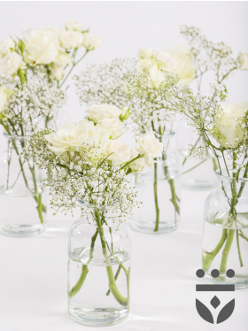 6 white centerpieces - Silver | Low