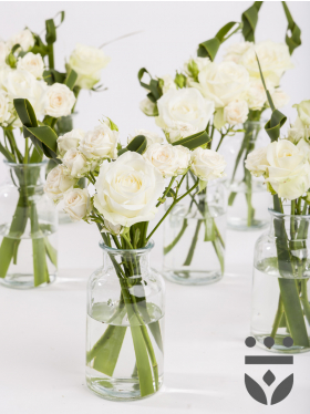 6 white centerpieces, including vase - Gold | Low