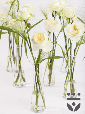 6 white centerpieces, including vases - Platinum | High