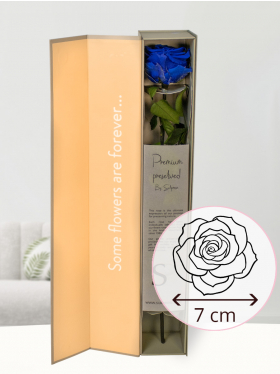 Blue premium long life rose in giftbox