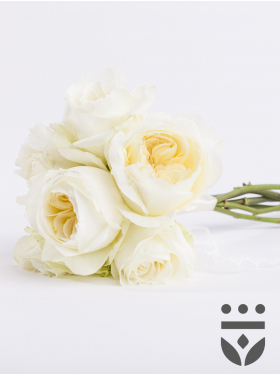 Bridesmaid bouquet white - Platinum
