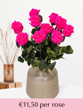 Pink long life roses