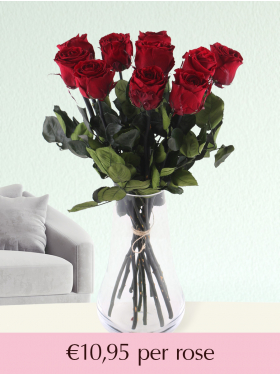 Burgundy red long life roses - Choose your number from 5 till 20