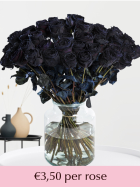 10 till 49 black roses