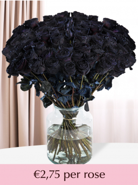 100 till 500 black roses