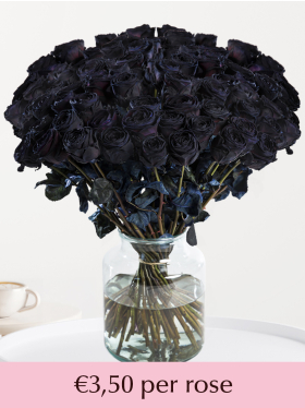 100 till 500 black roses