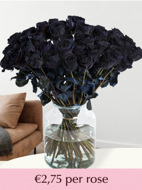 50 till 99 black roses
