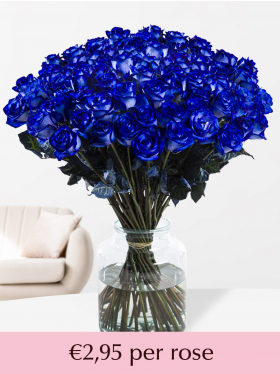 100 till 500 blue roses