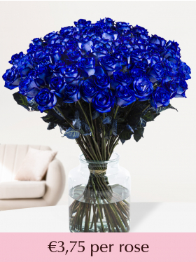100 till 500 blue roses