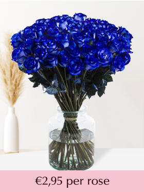 50 till 99 blue roses