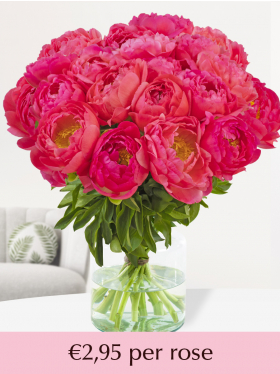 Salmon coloured peonies - 10 till 99 peonies