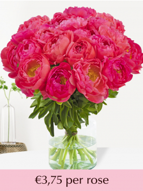 Salmon coloured peonies - 10 till 99 peonies