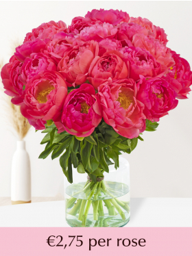 Salmon coloured peonies - 10 till 99 peonies