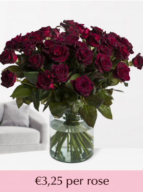 20 to 99 Black Baccara roses