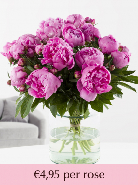 Choose your number of hard pink peonies - 10 till 99