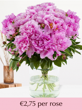Choose your number of hard pink peonies - 10 till 99