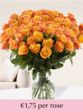 500 to 1001 orange roses