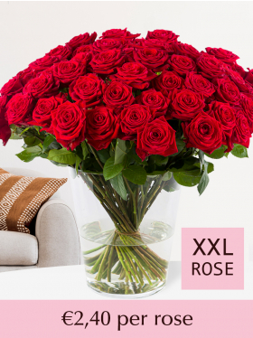 Types Of Red Roses: Selecting And Growing Roses That Are Red