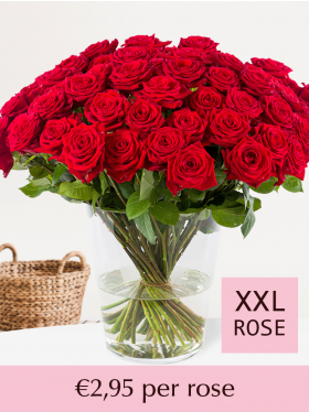 10 to 99 red roses - Red Naomi