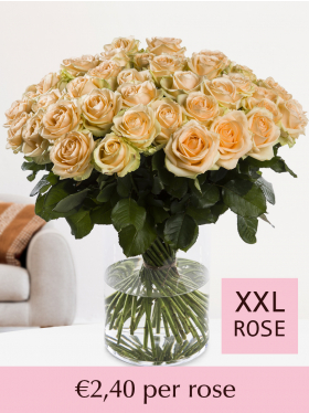 10 to 99 salmon-coloured roses