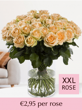 10 to 99 salmon-coloured roses