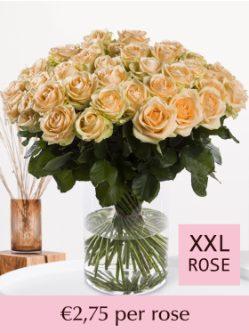 10 to 99 salmon-coloured roses