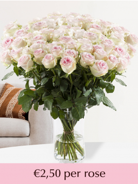 500 to 1001 soft pink roses