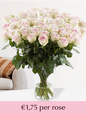 500 to 1001 soft pink roses