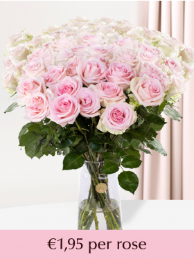 500 to 1001 soft pink roses - Sweet Revival