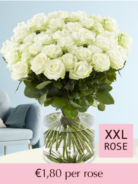 500 till 1001 white roses 