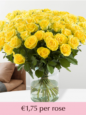 500 to 1001 yellow roses