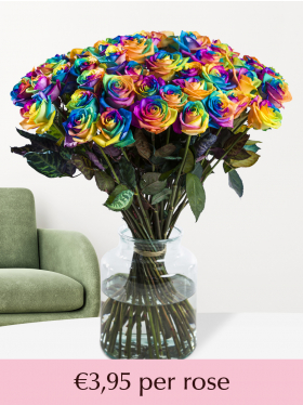 10 to 49 rainbow roses