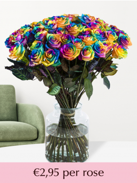 10 to 49 rainbow roses