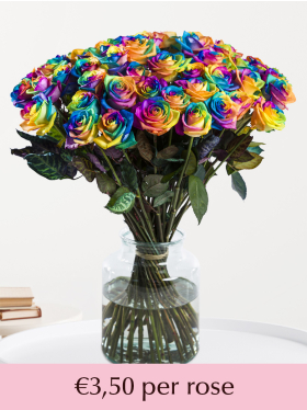 10 till 49 rainbow roses