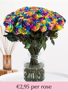 50 till 99 rainbow roses
