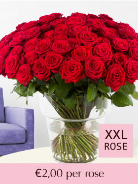 100 till 499 red roses - Red Naomi
