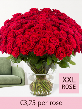 500 till 1001 red roses