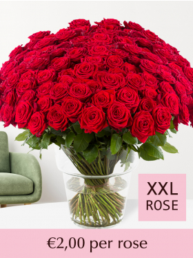 500 till 1001 red roses