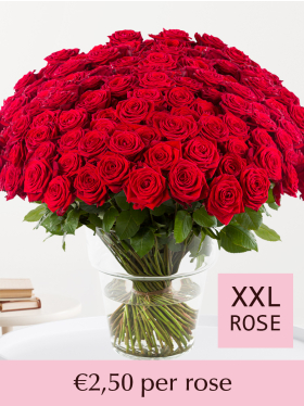 500 till 1001 red roses - Red Naomi