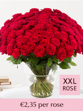 500 till 1001 red roses - Red Naomi