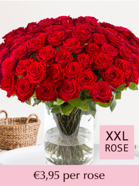 Choose your number of red roses - Red Naomi | Valentine's Day
