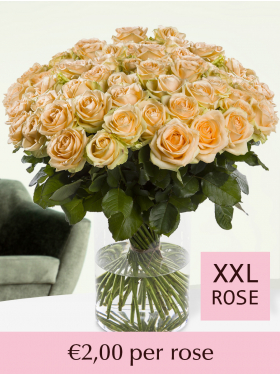 Choose your number salmon-coloured roses - 100 till 499