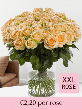 Choose your number salmon-coloured roses - 100 till 499